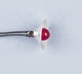 Graupner 353.3R rood 3V-100mA diam 4mm L100mm 10stuks Envelop